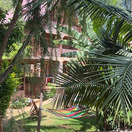Lushoto David Crater Homestay מראה חיצוני תמונה