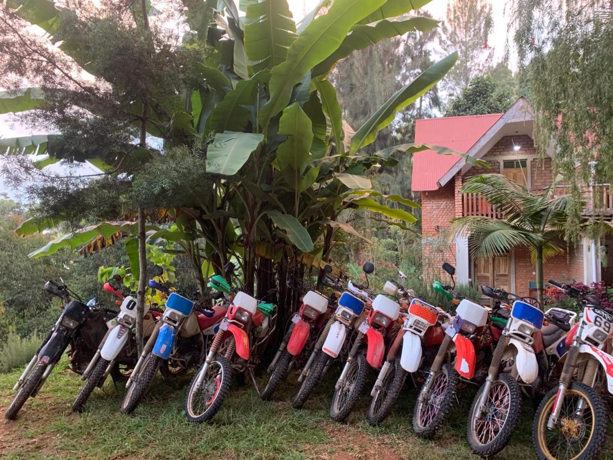 Lushoto David Crater Homestay מראה חיצוני תמונה