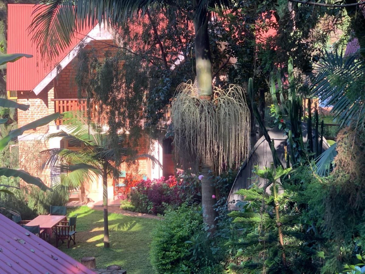 Lushoto David Crater Homestay מראה חיצוני תמונה