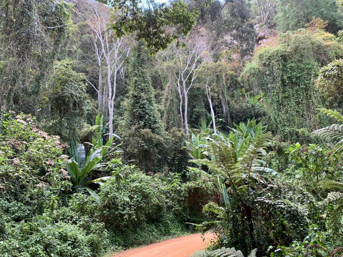 Lushoto David Crater Homestay מראה חיצוני תמונה